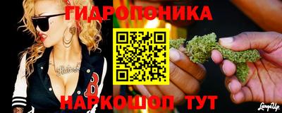 Альфа ПВП Бийск