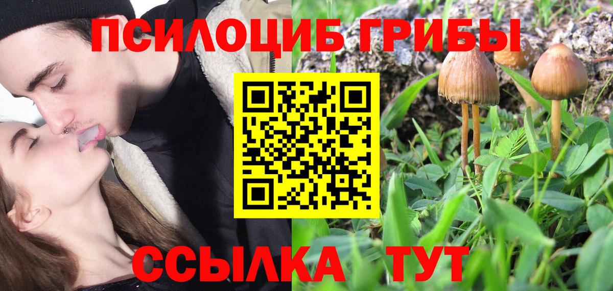 Изобильный  Псилоцибиновые грибы MAGIC MUSHROOMS  Вход с VPN 